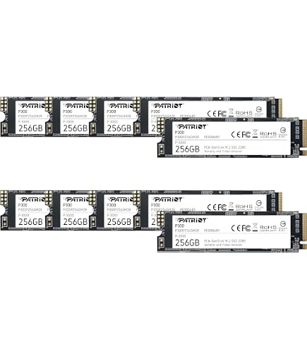 Amazon.com: Patriot P210 256GB SATA 3 2.5 Inch SSD Bulk 10-Pack